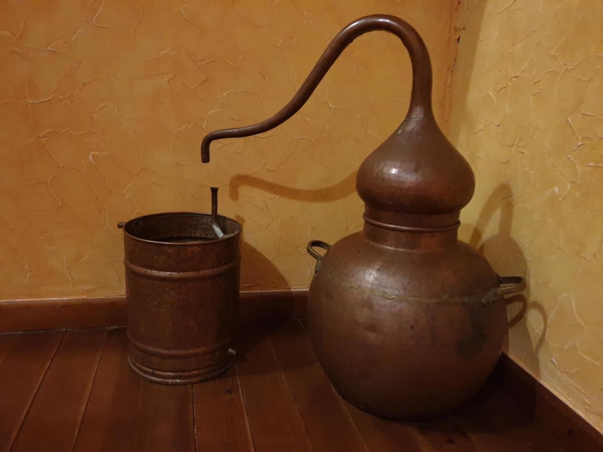 Casaruraltiarosa *